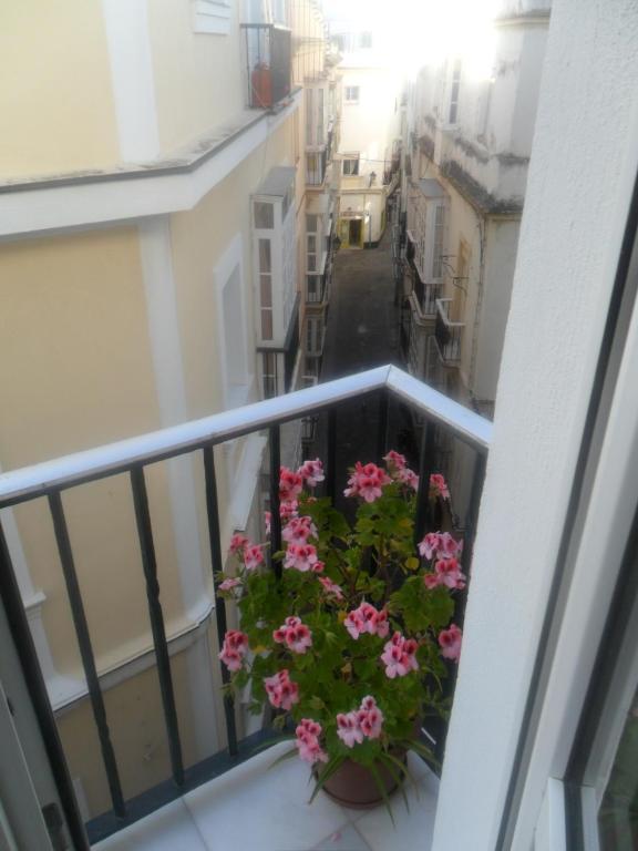 Centro Sol Cádis